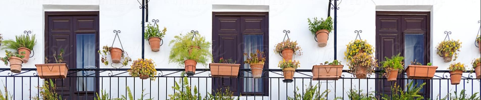 Colorful plants on a balcony railing.